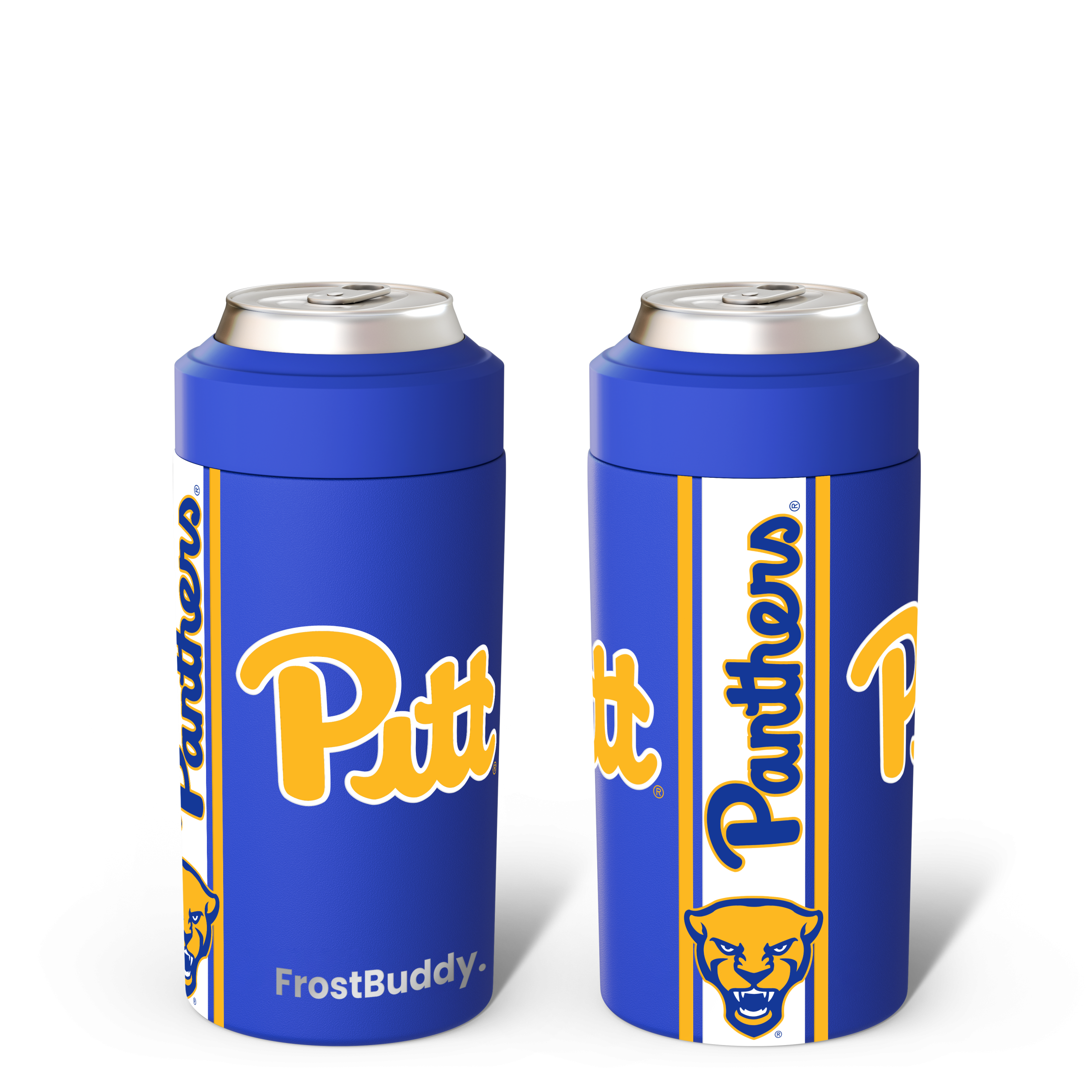 Pitt_Mockup.png