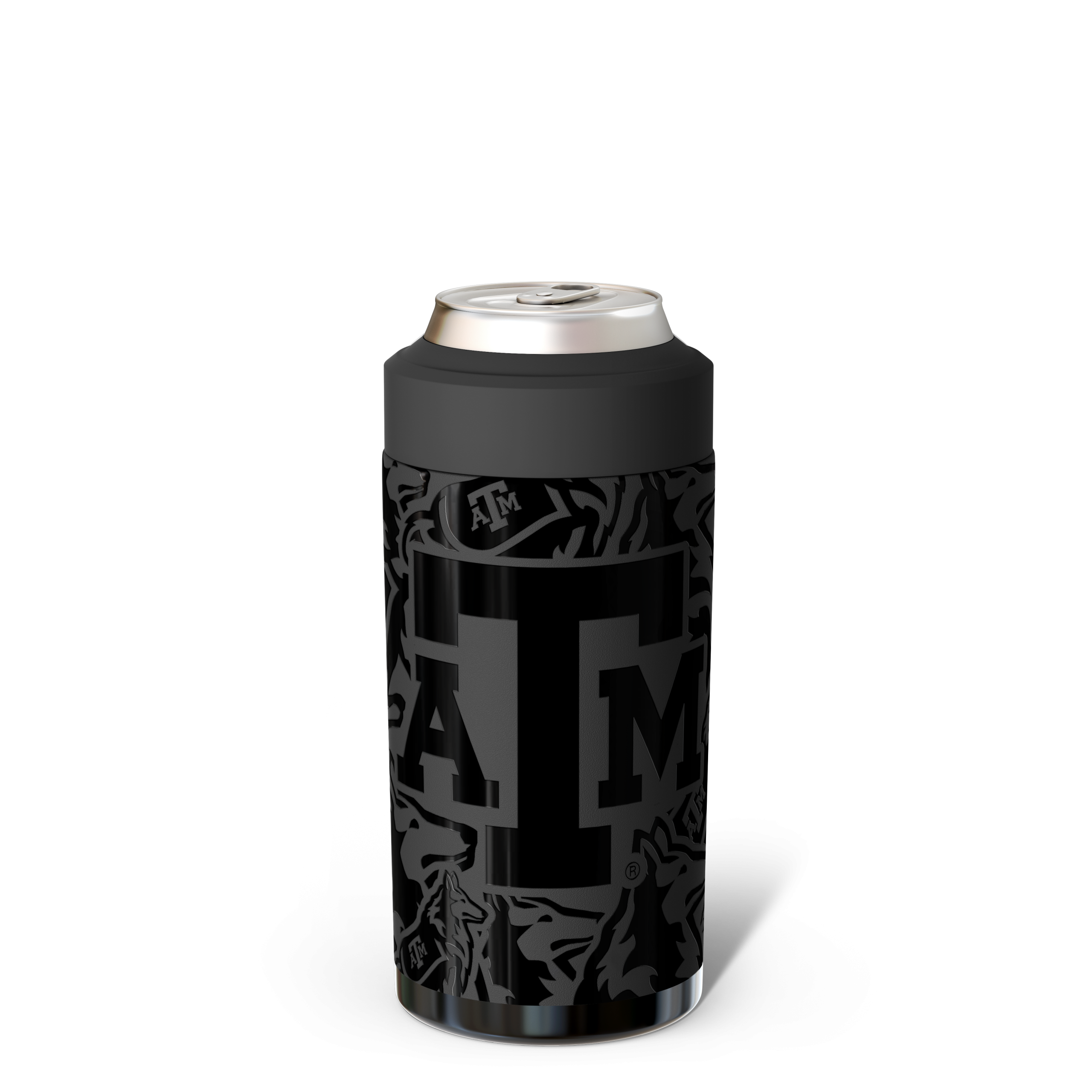 TexasAMBack.png